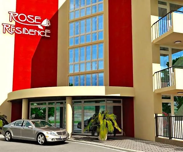 Complex Rose 阳光海滩