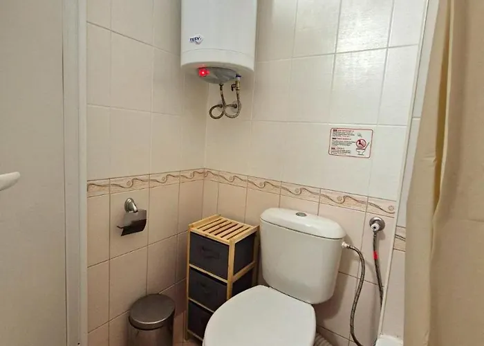 Complex Rose 公寓 阳光海滩