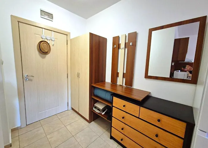 Complex Rose 阳光海滩